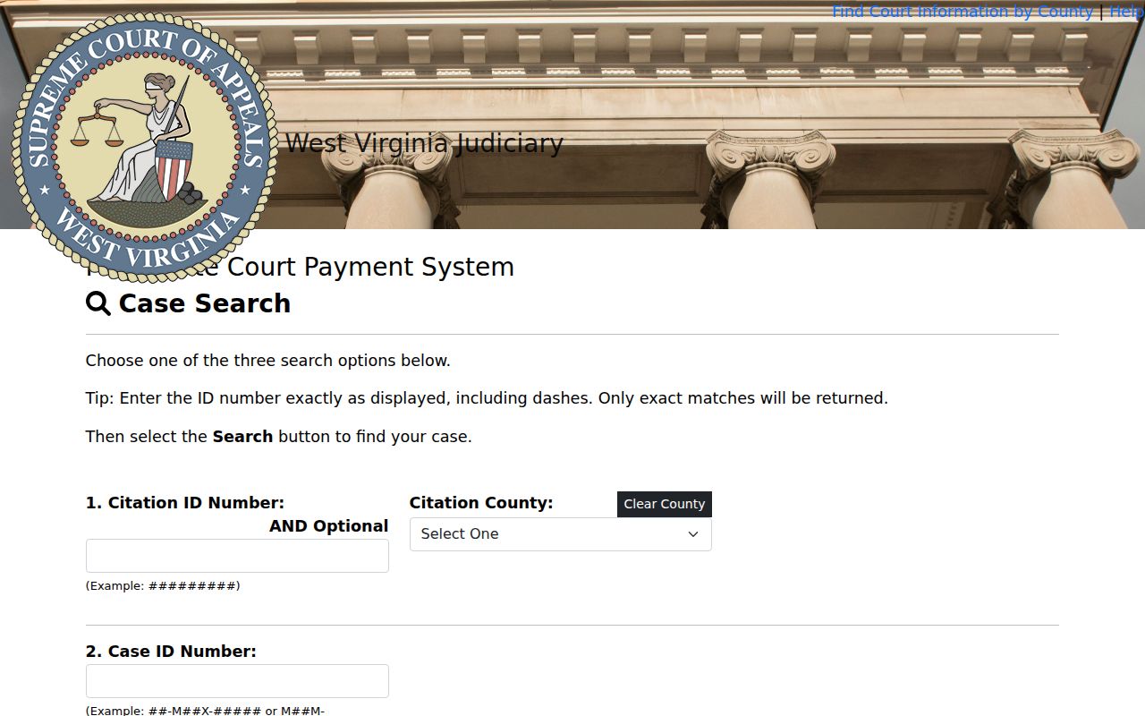Wayne County magistrate court payment case lookup screen
